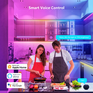 สินค้าใหม่ราคาดี ระบบอเล็กซ่า กูเกิล แอปเปิ้ล นําแถบไฟนีออน ขายตรง ซัพพลายเออร์ทองแถบไฟ LED ภายนอก - Product Image 2