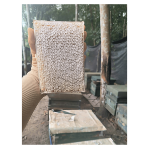 Top Products Hot Selling Honeycomb Cake from 99 Gold Data In Vietnam with Premium Quality Raw Honey Wax <b>Sweet</b> Dessert - Product Image 5