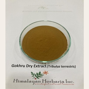 Yüksek kalite 100% saf doğal terrestrilus Terrestris özü en iyi fiyat 40% 90% Saponins meyve ve kök tozu gıda sınıfı adedi 1kg - Product Image 3