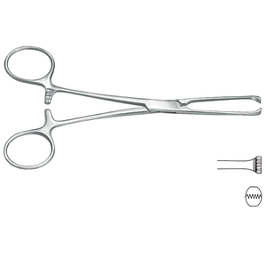 Fórceps de tejido intestinal Allis de acero inoxidable de alta calidad 5x6 dientes 19cm/7,5 "fabricante de instrumentos quirúrgicos - Product Image 2