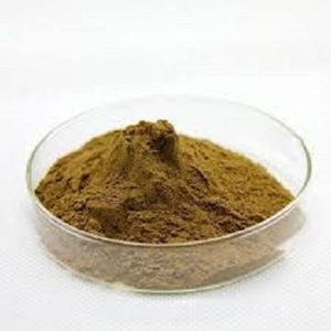 สารสกัด Bacopa monnieri> 50% bacosides เป็น saponins> 50% โดยใช้วิธีการสกัด gravimetry - Product Image 2