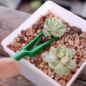 Kit de Semillas para Cultivar Flores, Juego de Herramientas de Jardinería Premium para Uso Doméstico o Comercial - Product Image 2