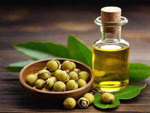 น้ำมันหอมระเหยจากมะฮอกกานี100% เกรดเภสัชกรรมราคาดีที่สุดและบรรจุภัณฑ์25kgs และ180kgs - Product Image 3