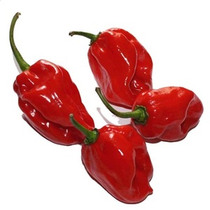 Chile Habanero Rojo Fresco de Alta Calidad, Mezcla de Especias Verdes Seguras - Product Image 5