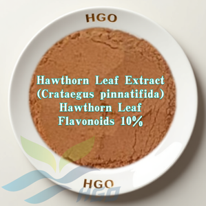 Hgo สารสกัดจากใบฮอว์ธอร์นธรรมชาติบริสุทธิ์จากโรงงานโดยตรง (Crataegus pinnatifida) 80% ฟลาโวนอยด์จากใบฮอว์ธอร์น - Product Image 6