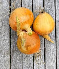 Nouvelle récolte d'oignons rouges frais oignons jaunes en gros - Product Image 3