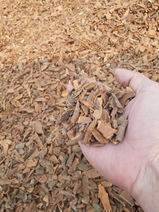 1% 100% หอมฝรั่ง Cassia เครื่องปรุงรสฤดูกาลใหม่คุณภาพระดับพรีเมียม Cassia หอมฝรั่งสําหรับเครื่องเทศในครัวเรือน -ANNA DO WA+84982153058 - Product Image 6