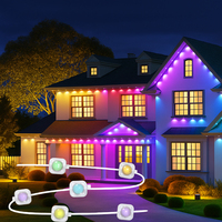 Guirlandes lumineuses extérieures permanentes professionnelles 24V RGB LED Pixel de 30m et 60m pour les maisons et les bâtiments – Éclairage de Noël