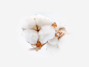 OEM Nouveau-né 100% coton mousseline bavoirs pour bébé en coton biologique bavoirs d'alimentation bavoirs pour bébé - Product Image 5