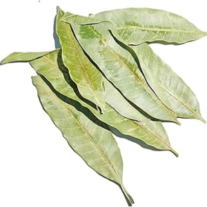 ใบมะม่วงอบแห้งรสเลิศ: ความสุขในการทำอาหาร - Product Image 6