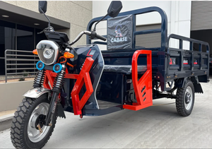 Meilleure vente de tricycle motorisé à essence Rickshaw/Bajaj/Auto Taxi Tricycles passagers Tuk - Product Image 2