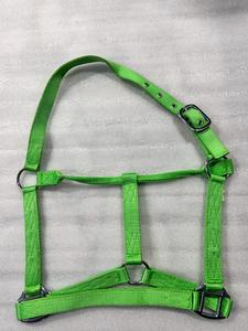 Accesorios de Hierro Cromado de Alta Resistencia, Cabestro de Nailon para Caballos, Cinta de PP, Brida, Equipo Ecuestre al por Mayor, Todos los Colores al Mejor Precio - Product Image 2