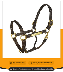 Licol en cuir de cheval en nylon, fourniture en gros, licou en cuir torsadé avec plaque signalétique, non pérenne - Product Image 3