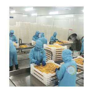 OEM TRANCHES DE MANGUE SÉCHÉES EN GROS LIVRAISON RAPIDE MANGUE SÉCHÉE EN GROS Offre Spéciale DE FRUITS SÉCHÉS EN GROS DU VIETNAM - Product Image 2