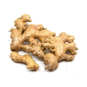 BUY <b>FRESH</b> <b>GINGER</b> , WHOLESALE DRIED <b>GINGER</b> for SALE - Product Image 4