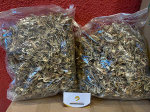 Flor de alcachofa entera seca, artesanía vietnamita para preparar té de hierbas transparente y bebidas refrescantes en juegos de té orientales tradicionales - Product Image 4