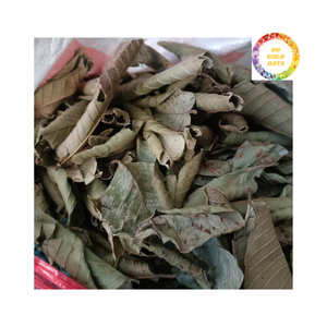 Cadena de suministro de fabricante de té de hierbas cortadas Premium Select de hoja de guayaba seca pura - Product Image 2