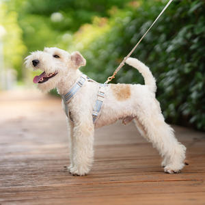 調節可能で快適な春夏用の胸と背中のハーネスで、ペットの犬を遊びに出すのに適しています。 - Product Image 2