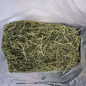 Foin de luzerne à haute teneur en fibres soigneusement traité et fraîchement emballé pour chevaux et porcs Approvisionnement en vrac disponible - Product Image 5