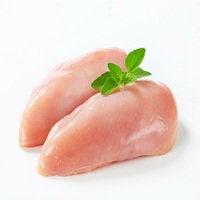 Relleno de pechera de pollo, sin piel, certificado, proveedor de Brasil