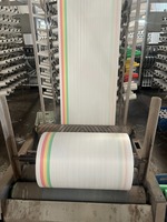 15kg 25kg 50kg 100kg couleur blanche polypropylène Pp tissé sac sacs pour Grains riz farine tissu rouleaux imprimé laminé D coupe sac