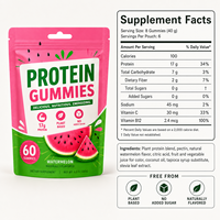 Gummies Protéinés de Qualité Professionnelle 17g Protéines Végétales Sans Sucre Bonbons Végétaliens Saveur Pastèque Snack Fitness OEM ODM