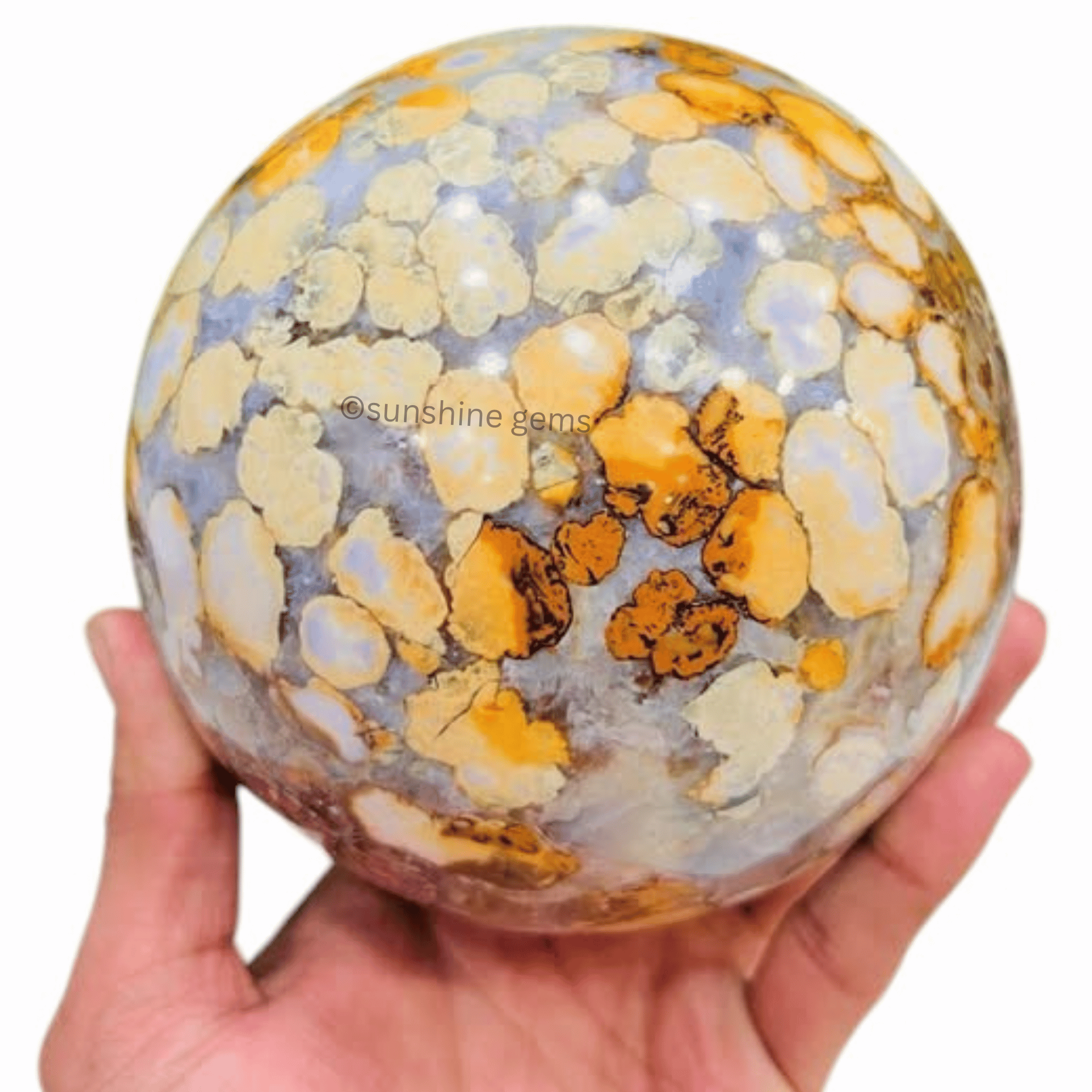 ตามที่แสดง