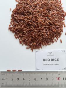 Riz seco de arroz rojo orgánico vietnamita, alto antioxidante, alto contenido en vitamina, bajo IG, sin OGM, al mejor precio al por mayor por Sophie - Product Image 3