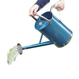 Regadera de plantas en maceta en su patio o balcón dándoles la hidratación que necesitan para florecer lata de agua de metal - Product Image 2