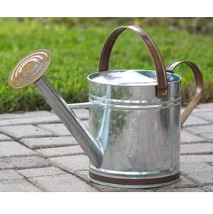 Regadera de Metal de Alta Calidad con Diseño Elegante para Uso Diario en Jardines de Casas y Hoteles - Product Image 3