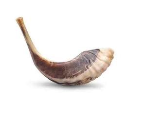 Shofar traditionnel casher écologique en corne de bélier polie avec finition naturelle, artisanat indien à bas prix - Product Image 3