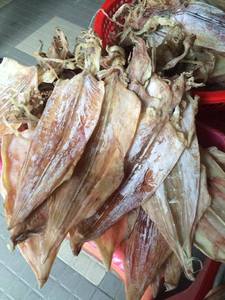 Calamars séchés naturels du Vietnam en gros – Produit de la mer séché au soleil pour la restauration, les restaurants, la vente au détail et la distribution de produits de la mer - Product Image 1