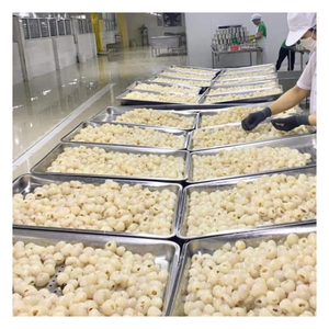 Lichi enlatado de Vietnam en almíbar, pelado y sin semillas, jugoso y tierno, adecuado para restaurantes, supermercados y distribuidores - Product Image 3