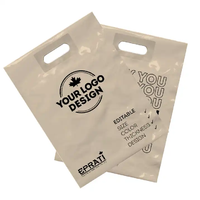 Sacs de marchandises Sacs de boutique en plastique pour petites entreprises Sacs à provisions en plastique au détail Logo personnalisé Wi