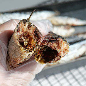 OEM/ODM 고양이와 개를위한 영양가가 높고 먹기 쉬운 동결 건조 정어리 간식 - Product Image 3