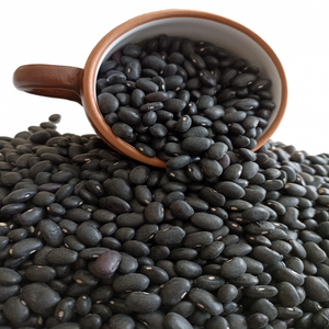 Frijoles negros orgánicos de alta calidad en stock con envío rápido y precios al por mayor con descuento - Product Image 4