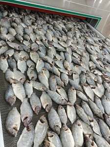 Cao cấp đông lạnh cá rô phi đen toàn bộ Hoang Dã đánh bắt tự nhiên hải sản cao trong protein sạch nhãn sự lựa chọn cho hệ thống miễn dịch hỗ trợ - Product Image 3