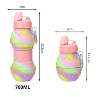 Bouteille d'eau pliable portable sans BPA en silicone de qualité alimentaire, étanche, lavable au lave-vaisselle, pour le sport et les voyages en extérieur