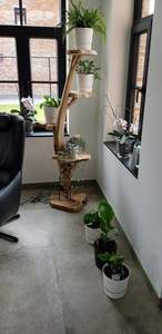 Planche à découper en bois de haute qualité, emballage en boîte, durable et légère - Product Image 4