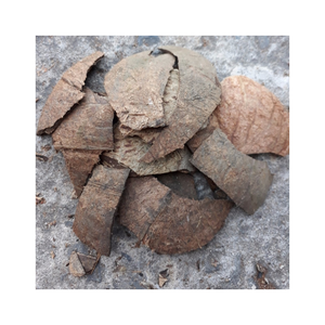 Cáscara de Coco Natural Ecológica de Vietnam, Material a Granel para Artesanías, Fabricación de Carbón Vegetal y Comercio Internacional - Product Image 1