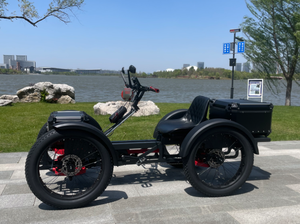 Bicicleta Eléctrica de Cuatro Ruedas SMD-A04 48V30AH X2 con Motor de Torque Medio de 1000W y Transmisión Shimano de 7 Velocidades BAFANG - Product Image 4