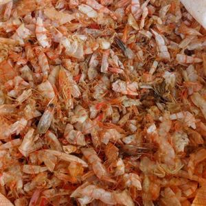 Cáscaras de camarón secas de alta calidad para alimentación animal |   EXPORTADOR VDELTA VIETNAM, 50 kg/bolsa, VIDA ÚTIL DE 12 MESES - Product Image 6