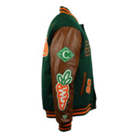 Blouson d'hiver matelassé en laine à col montant pour homme, coupe-vent à carreaux avec fermeture boutonnée, style universitaire, streetwear, baseball, Letterman, High Street