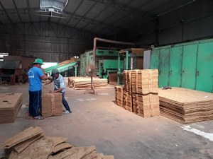 Filet de couverture en coco de coco pour le contrôle de l'érosion est de plus en plus populaire avec le meilleur prix Akina - Product Image 6