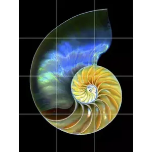 Nautilus เปลือกหอยเปลือกหอยภาพจิตรกรรมฝาผนังมหาสมุทรชายหาดทะเลกระเบื้องเซรามิกกันน้ำมันกระเด็น - Product Image 1