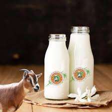 Leche de Cabra en Polvo Pura al por Mayor, 25 kg de Leche de Cabra en Polvo a la Venta - Product Image 6