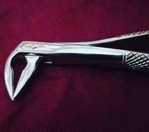 Instrumentos Dentales Quirúrgicos, Fórceps Jammur para Extracción de Dientes, Acero Inoxidable, Certificado CE Clase II, Uso Manual, Médico - Product Image 6