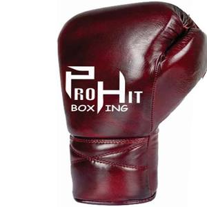 Gants de boxe professionnels Arts martiaux gants de boxe unisexe vêtements d'entraînement sport gants gagnants poignées Sparring - Product Image 3