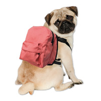 Sac à dos réglable en nylon pour chiens et chats, petit format, pour friandises, confortable, pour voyages en extérieur, accessoires pour animaux de compagnie, vente chaude, lavage à la main