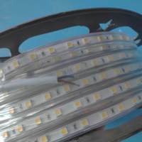 Tira de Luz LED Púrpura Flexible Personalizada, IP67 Impermeable, Universal, DC 5V/12V/24V, Certificación CE ROHS, Iluminación de 180°